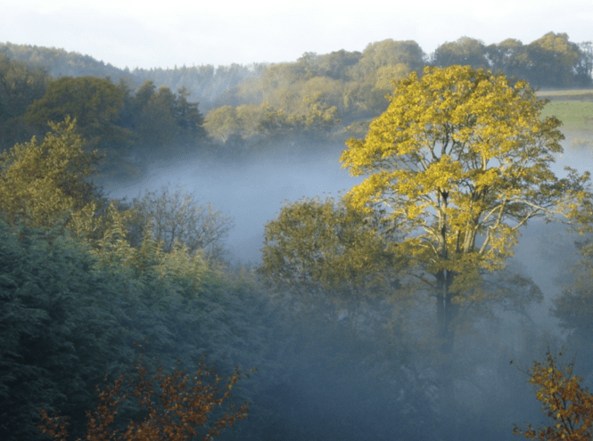 Screen Shot 2014-05-01 at 13.56.43