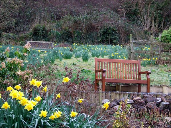 Kingfisher Cottage photo 7