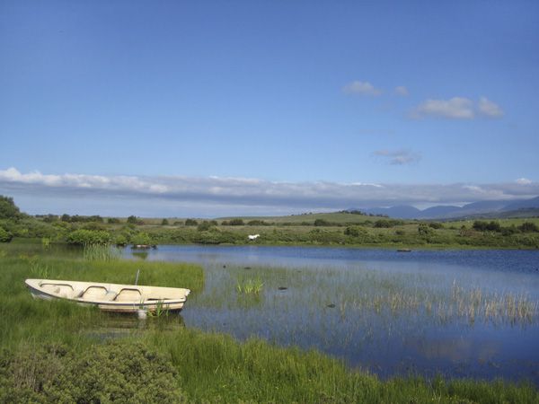 Sykes Cottage Offer of 18% Disocunt on Jeremiah's Cottage Through CollectOffers Cottage Deals