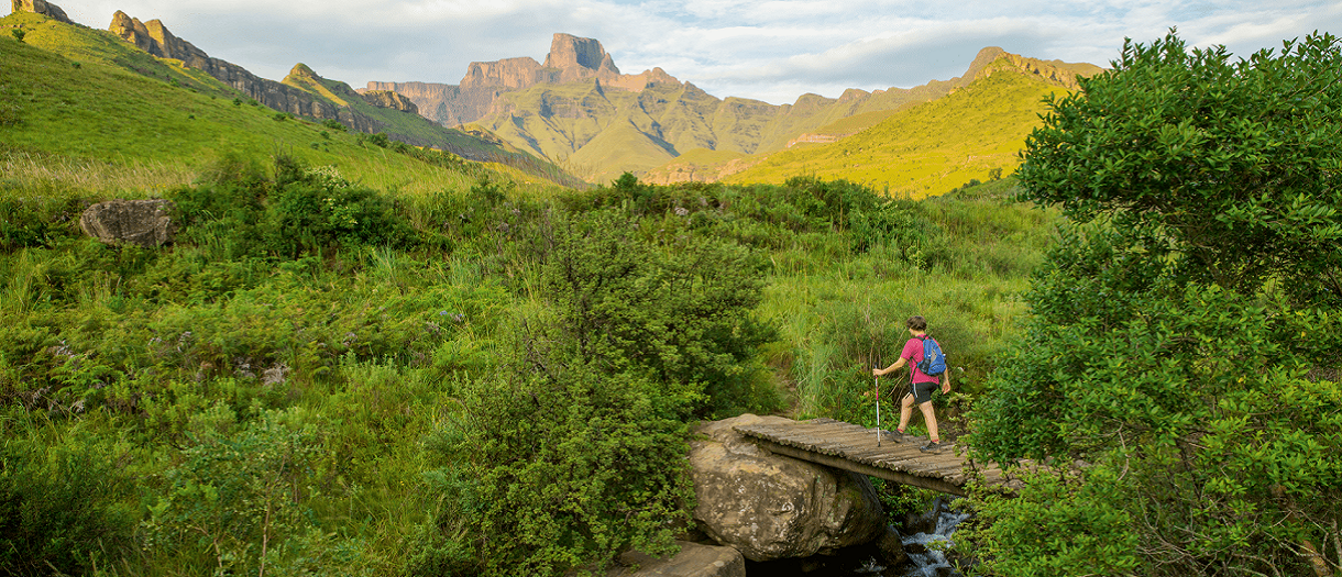 4 Out of the World Experience that Only South Africa&nbsp;Offers